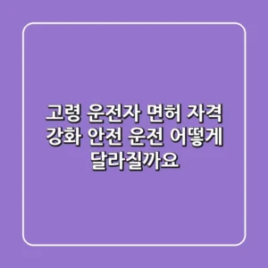 고령 운전자 면허 자격 강화! 안전 운전, 어떻게 달라질까요?