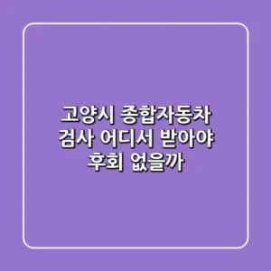 고양시 종합자동차 검사, 어디서 받아야 후회 없을까?
