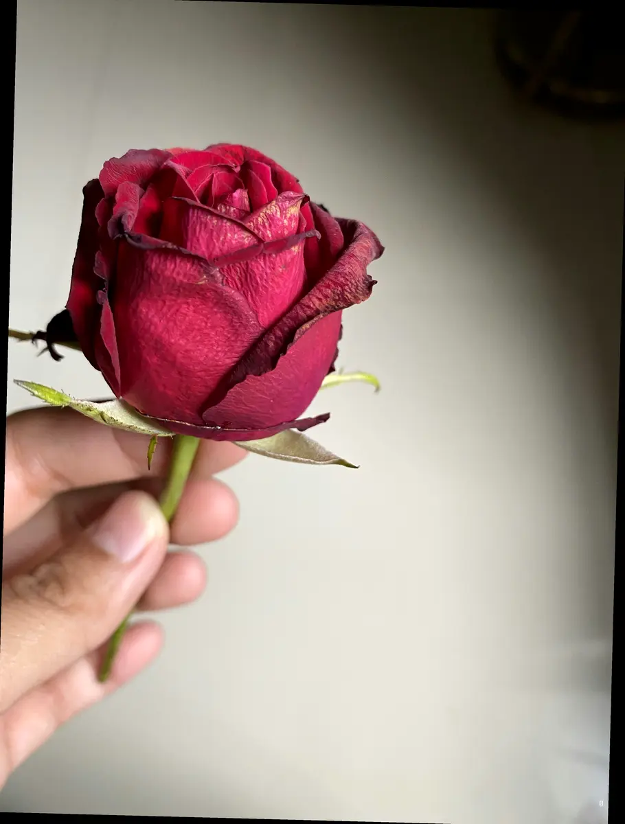 감동을 선물하는 퇴직기념패, 이렇게 준비하세요! 🎁 (2) 재질 & 퀄리티 확인 🧐