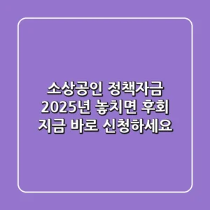 소상공인 정책자금, 2025년 놓치면 후회! 지금 바로 신청하세요!