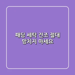 패딩 세탁 건조, 절대 망치지 마세요!