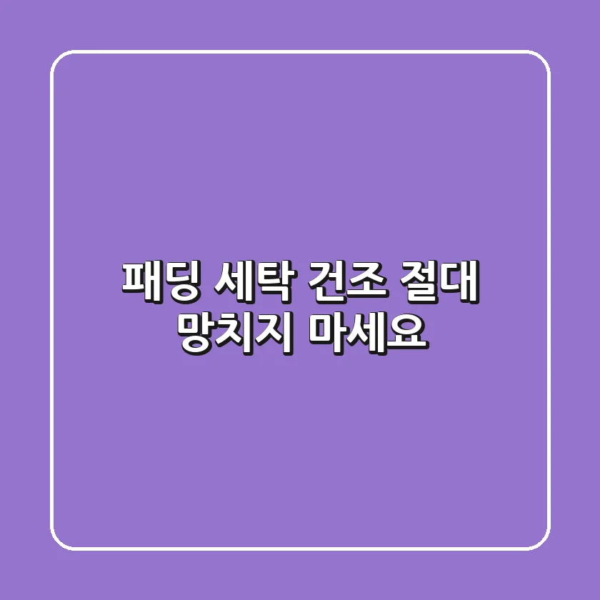 패딩 세탁 건조, 절대 망치지 마세요!