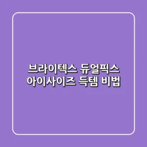 브라이텍스 듀얼픽스 아이사이즈 득템 비법 ✨