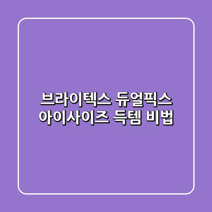 브라이텍스 듀얼픽스 아이사이즈 득템 비법 ✨