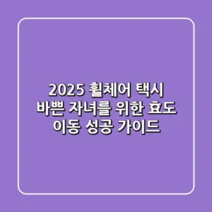 2025 휠체어 택시: 바쁜 자녀를 위한 '효도 이동' 성공 가이드