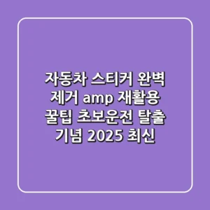 자동차 스티커, 완벽 제거 & 재활용 꿀팁 (초보운전 탈출 기념!) | 2025 최신