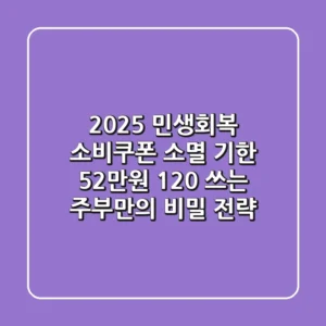 2025 민생회복 소비쿠폰 소멸 기한, 52만원 120% 쓰는 주부만의 비밀 전략