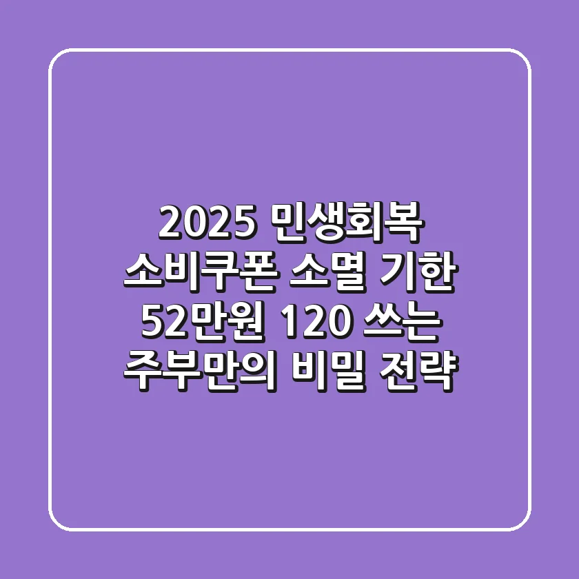2025 민생회복 소비쿠폰 소멸 기한, 52만원 120% 쓰는 주부만의 비밀 전략