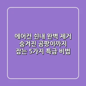에어컨 쉰내, 완벽 제거! 숨겨진 곰팡이까지 잡는 5가지 특급 비법