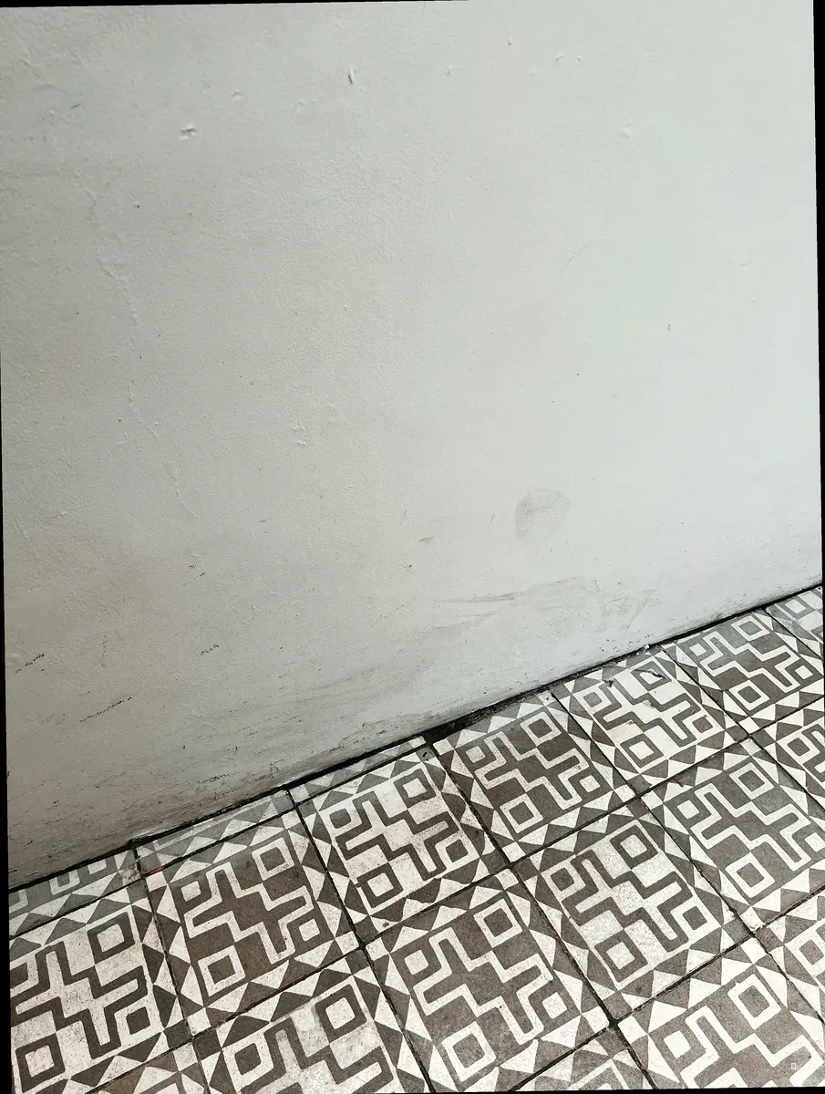 먼지 없는 신기술, 어떻게 가능할까요?