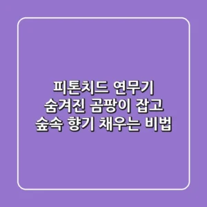 피톤치드 연무기: 숨겨진 곰팡이 잡고 숲속 향기 채우는 비법