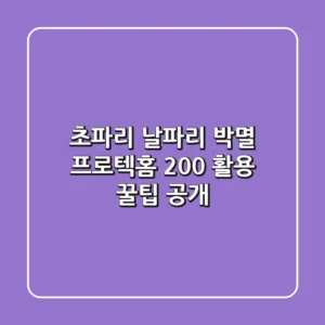 초파리, 날파리 박멸! 프로텍홈 200% 활용 꿀팁 공개