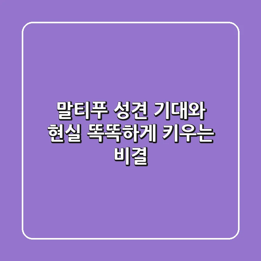 말티푸 성견: 기대와 현실, 똑똑하게 키우는 비결 🐾