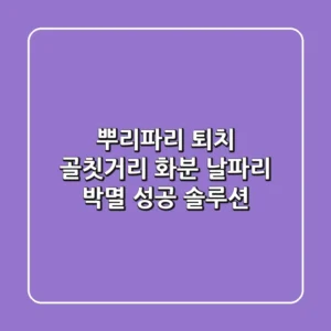 뿌리파리 퇴치, 골칫거리 화분 날파리 박멸 성공 솔루션