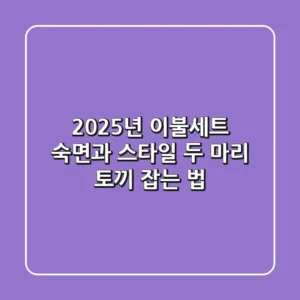 2025년 이불세트, 숙면과 스타일 두 마리 토끼 잡는 법!