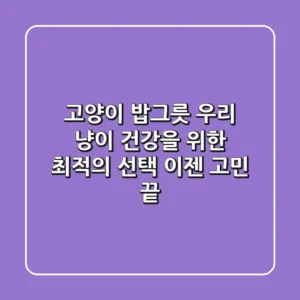 고양이 밥그릇: 우리 냥이 건강을 위한 최적의 선택, 이젠 고민 끝!