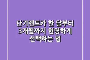 단기렌트카, 한 달부터 3개월까지 현명하게 선택하는 법