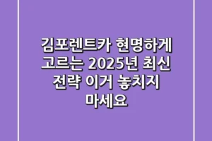 김포렌트카 현명하게 고르는 2025년 최신 전략, 이거 놓치지 마세요!