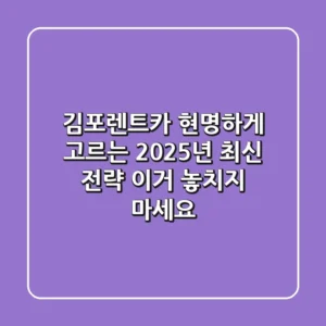 김포렌트카 현명하게 고르는 2025년 최신 전략, 이거 놓치지 마세요!