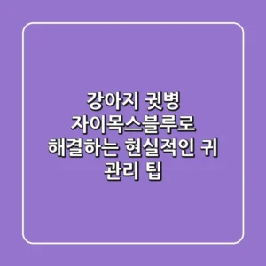 강아지 귓병, 자이목스블루로 해결하는 현실적인 귀 관리 팁