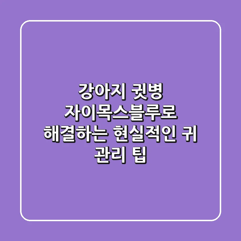 강아지 귓병, 자이목스블루로 해결하는 현실적인 귀 관리 팁