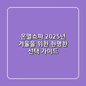 온열쇼파, 2025년 겨울을 위한 현명한 선택 가이드