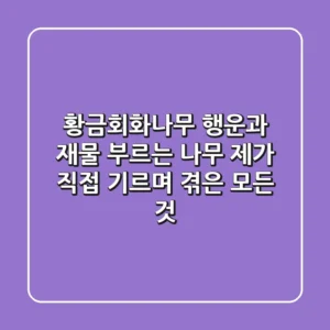 황금회화나무, 행운과 재물 부르는 나무: 제가 직접 기르며 겪은 모든 것