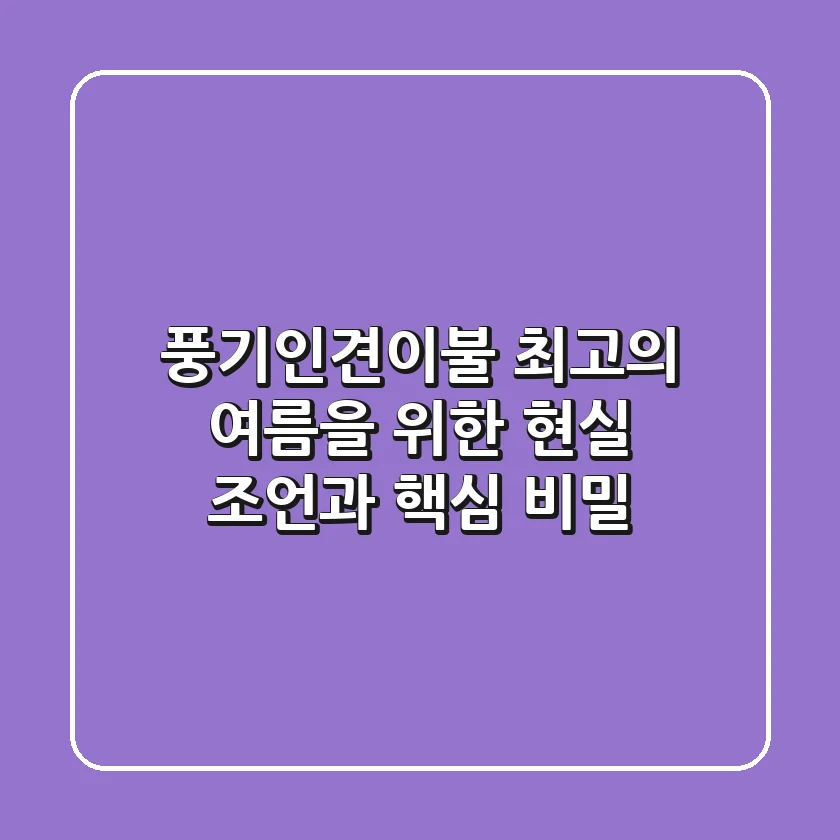 풍기인견이불, 최고의 여름을 위한 '현실 조언'과 '핵심 비밀'
