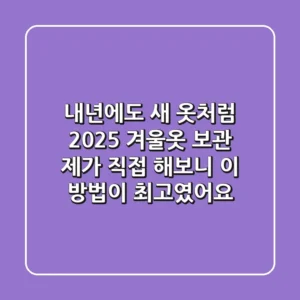 내년에도 새 옷처럼! 2025 겨울옷 보관, 제가 직접 해보니 이 방법이 최고였어요