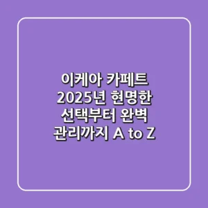 이케아 카페트, 2025년 현명한 선택부터 완벽 관리까지 A to Z