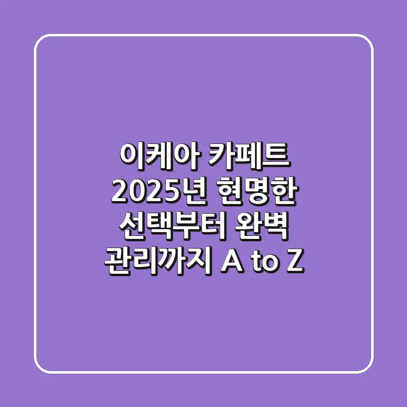 이케아 카페트, 2025년 현명한 선택부터 완벽 관리까지 A to Z