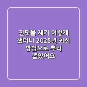 진딧물 제거, '이렇게' 했더니 2025년 최신 방법으로 뿌리 뽑았어요!
