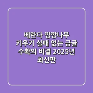 베란다 낑깡나무 키우기, 실패 없는 금귤 수확의 비결 (2025년 최신판)