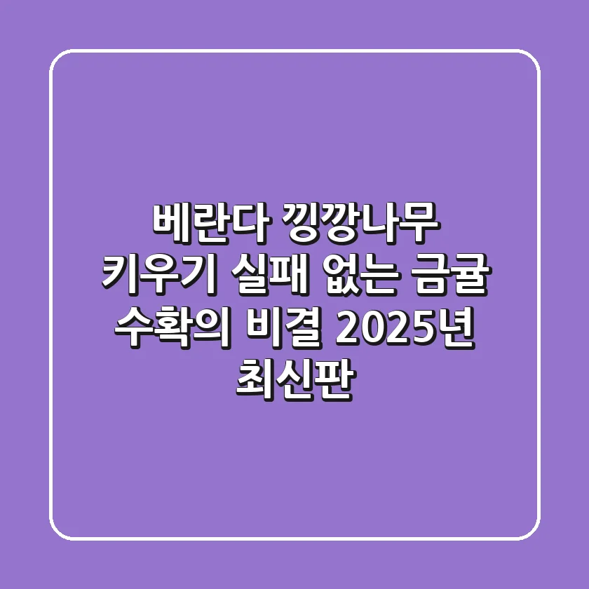 베란다 낑깡나무 키우기, 실패 없는 금귤 수확의 비결 (2025년 최신판)