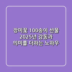 장미꽃 100송이 선물, 2025년 감동과 의미를 더하는 노하우