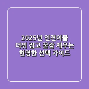 2025년 인견이불, 더위 잡고 꿀잠 재우는 현명한 선택 가이드