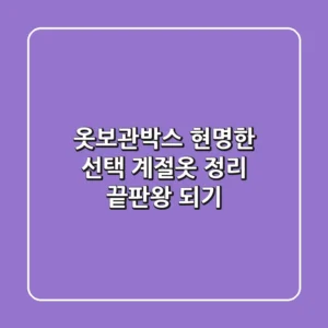 옷보관박스 현명한 선택: 계절옷 정리 끝판왕 되기