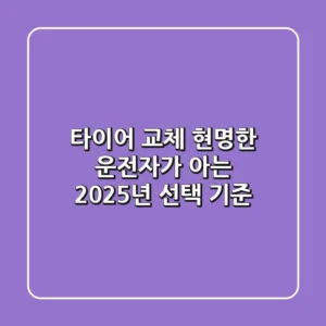 타이어 교체, 현명한 운전자가 아는 2025년 선택 기준