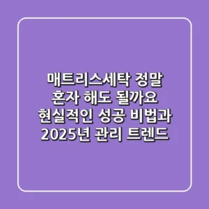 매트리스세탁, 정말 혼자 해도 될까요? 현실적인 성공 비법과 2025년 관리 트렌드