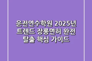 운전연수학원 2025년 트렌드: 장롱면허 완전 탈출 핵심 가이드