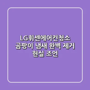 LG휘센에어컨청소, 곰팡이 냄새 완벽 제거 현실 조언