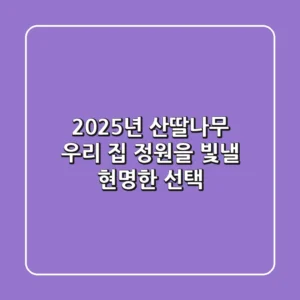 2025년 산딸나무, 우리 집 정원을 빛낼 현명한 선택