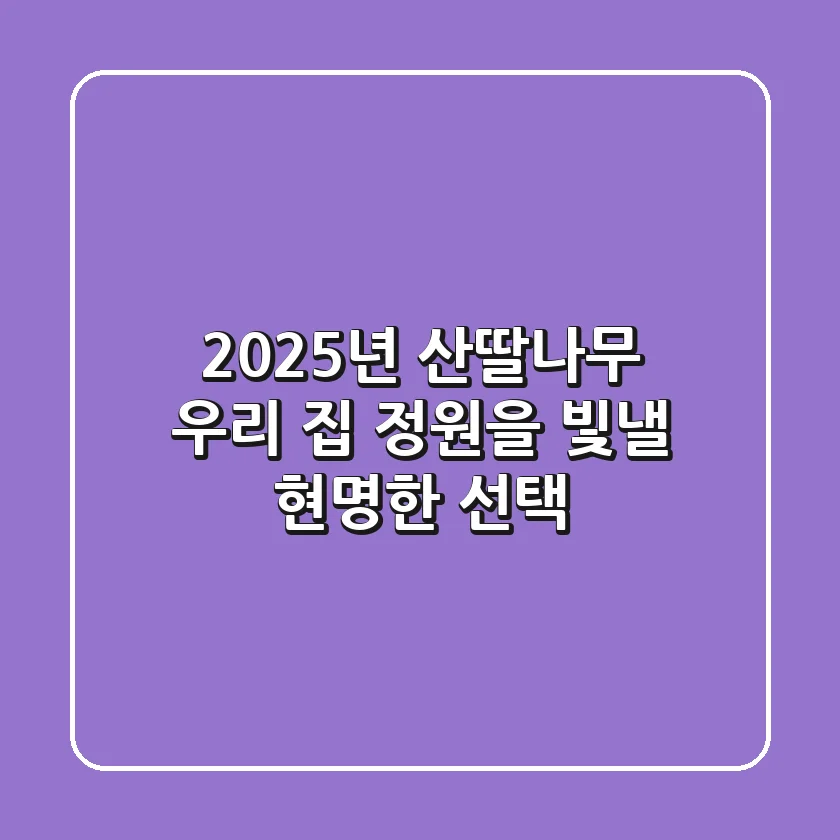 2025년 산딸나무, 우리 집 정원을 빛낼 현명한 선택