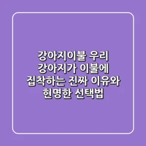 강아지이불, 우리 강아지가 이불에 집착하는 진짜 이유와 현명한 선택법