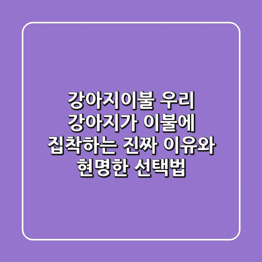 강아지이불, 우리 강아지가 이불에 집착하는 진짜 이유와 현명한 선택법