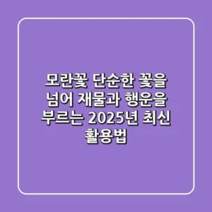 모란꽃, 단순한 꽃을 넘어 재물과 행운을 부르는 2025년 최신 활용법