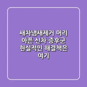 새차냄새제거: 머리 아픈 신차 증후군, 현실적인 해결책은 여기!