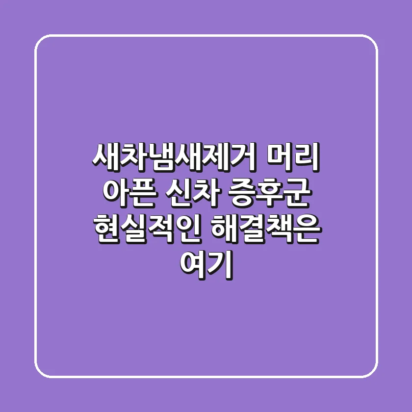 새차냄새제거: 머리 아픈 신차 증후군, 현실적인 해결책은 여기!