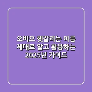 오비오: 헷갈리는 이름, 제대로 알고 활용하는 2025년 가이드