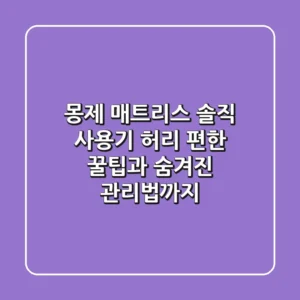 몽제 매트리스 솔직 사용기, 허리 편한 꿀팁과 숨겨진 관리법까지